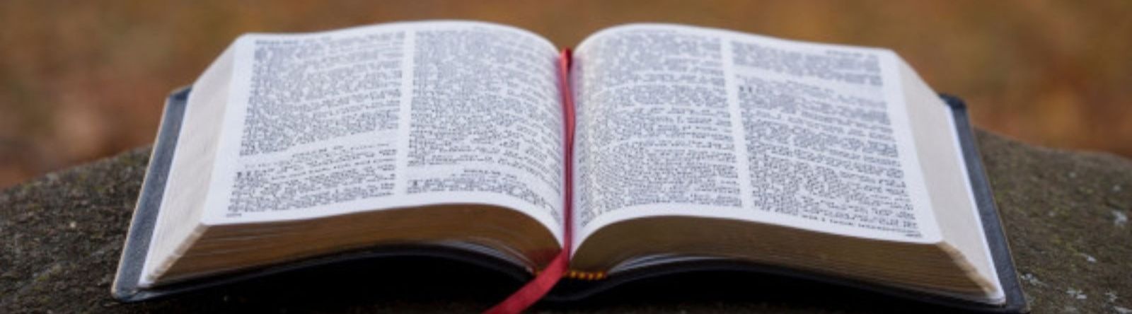 bible