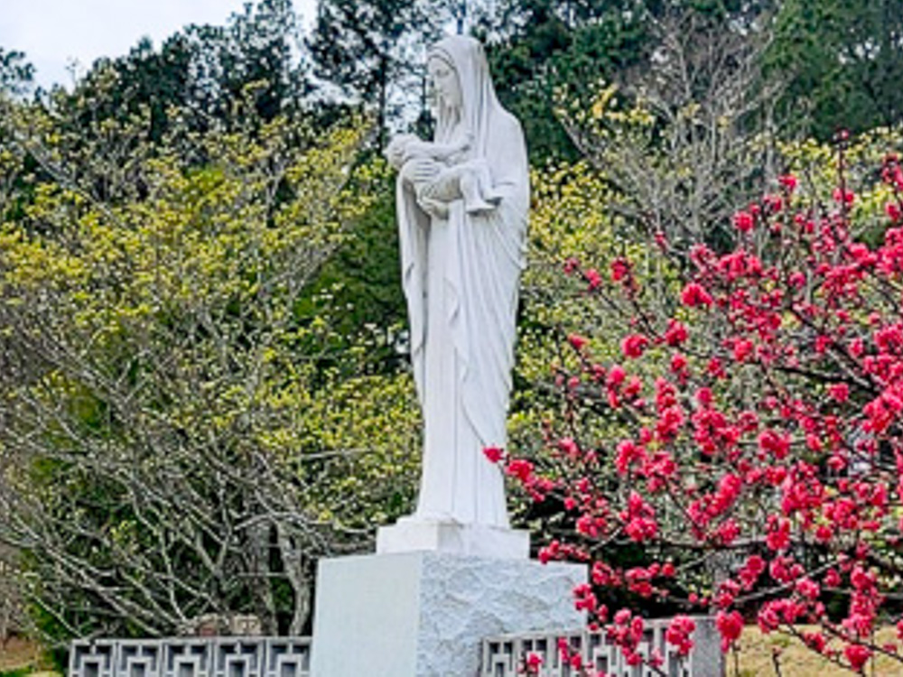 Lịch